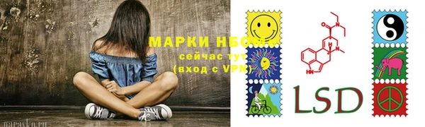 крисы Бронницы