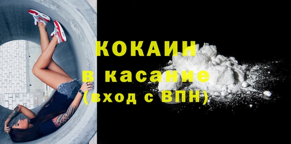 крисы Бронницы