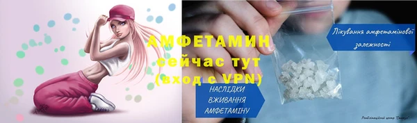 крисы Бронницы
