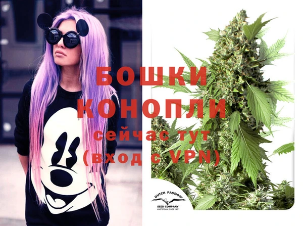 крисы Бронницы