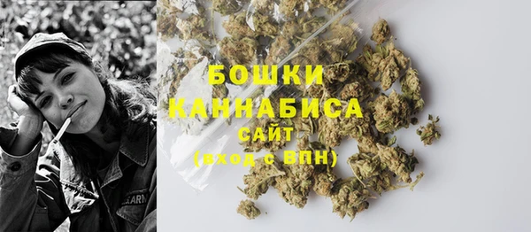 крисы Бронницы