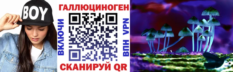 мега ссылки  Новоржев  Псилоцибиновые грибы прущие грибы  наркошоп 