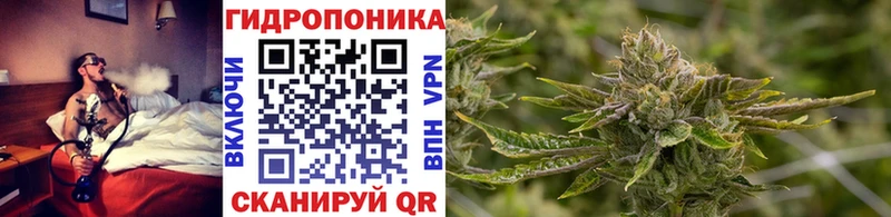 Каннабис THC 21%  Новоржев 